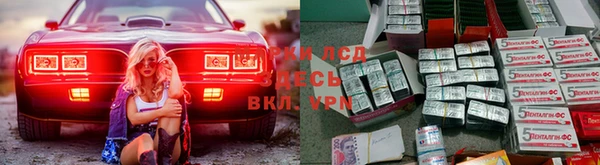 гашик Медвежьегорск