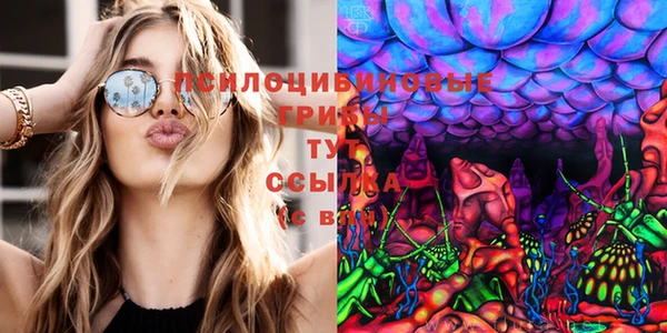 шишки Усмань