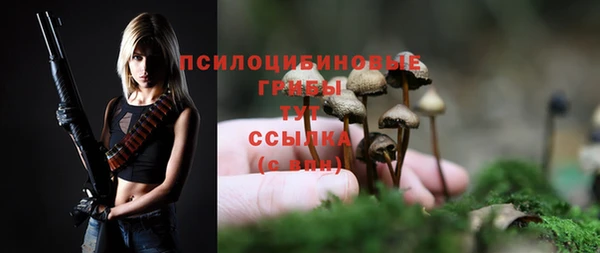 прущая мука Медногорск