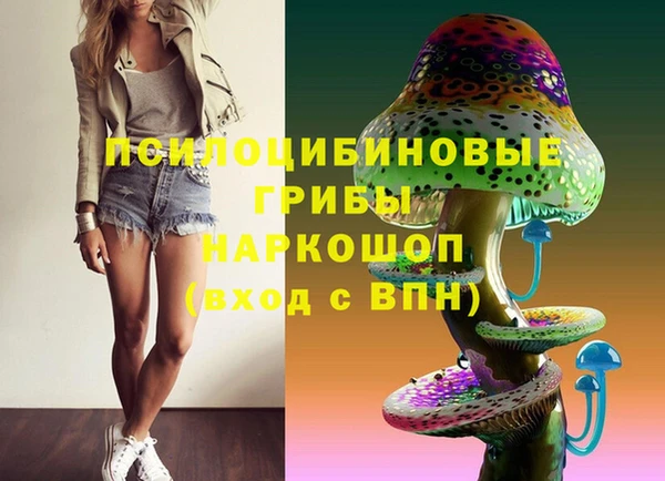 гашик Медвежьегорск