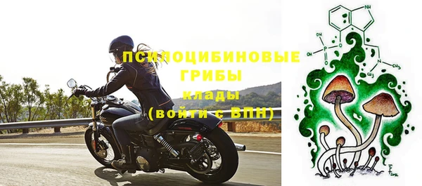 прущая мука Медногорск