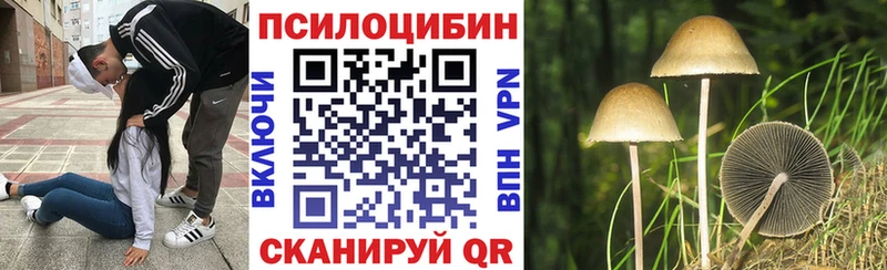 Псилоцибиновые грибы Cubensis Новосибирск
