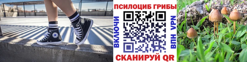 Псилоцибиновые грибы Cubensis Новосибирск